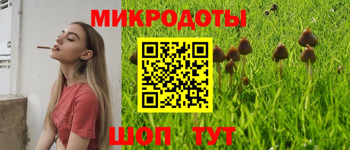 Феодосия  хочу наркоту  Вход с VPN  Галлюциногенные грибы Cubensis 